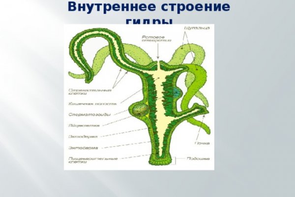 Кракен 18 вход